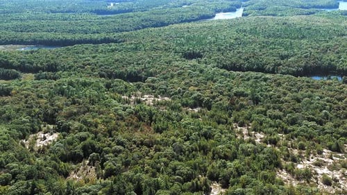 Aerial view of lake and forest