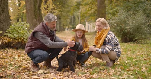 Grandparents and Kid with Their Pet Walking in the Autumn Park