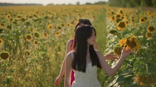 Women Walking in a Sunflower Field in Summer