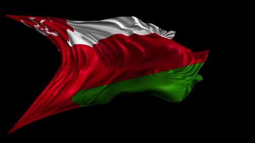 Realistic Waving Flag of Oman Animation
