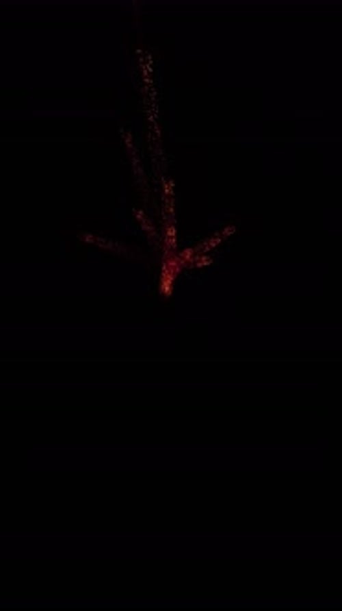 Aerial Sparks Explosion (31)