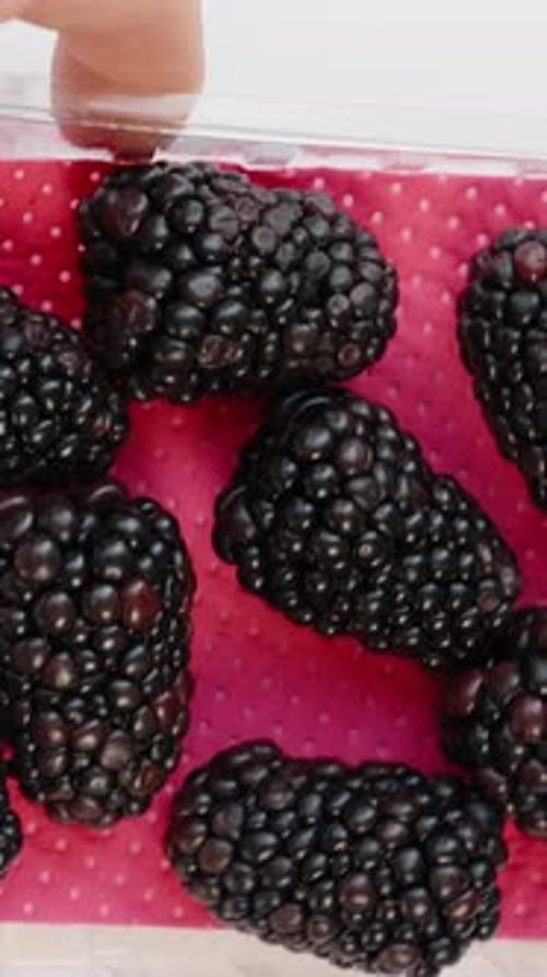 Close up of Fresh Blackberries on Pink Surface