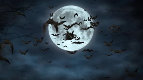 Spooky Bats Flying from Full Moon at Night