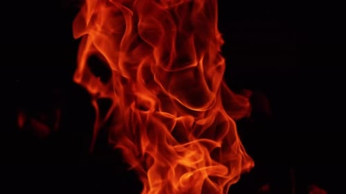 Burning fire on black background. Hot red flames moving in darkness. Close up.