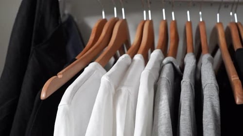 Shirts hanging neatly in an organized closet