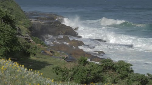 Bronte Beach - Ocean Waves Crashing On Rocky Coast In Summer - Sydney, New South Wales, Australia. -