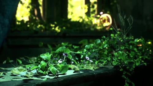 Abstract Green Lighting Motion Background