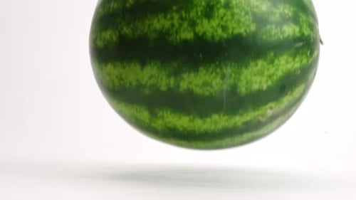 Whole, ripe green striped fresh watermelon being dropped onto white table top and bouncing up and do