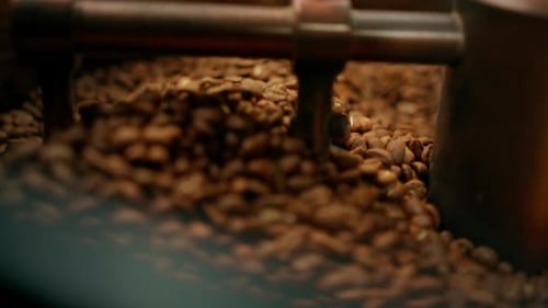 Coffee Beans Roasting Close Up in Industrial Machine