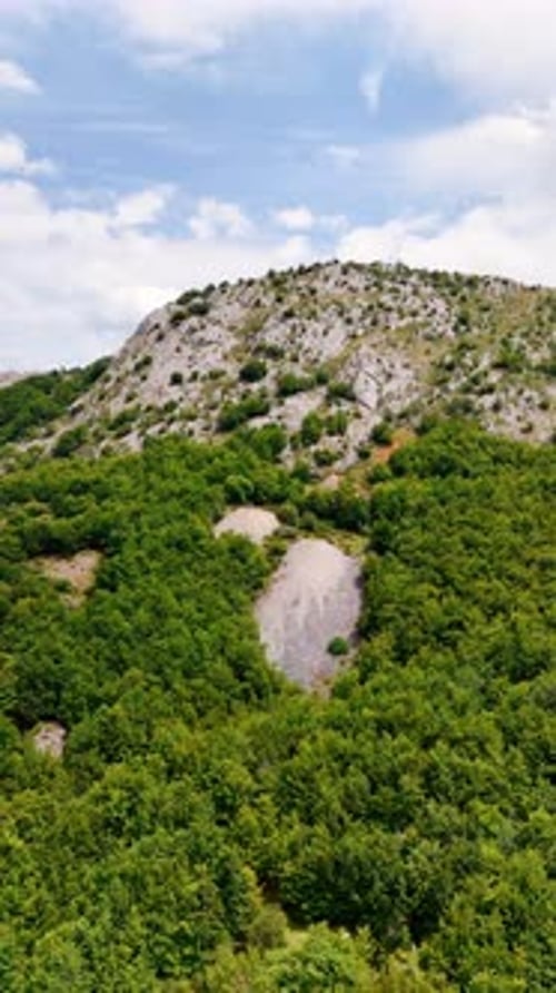 Flight over the thick green woods growing at the foot of the mountain.