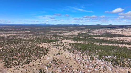 Aerial view of serene forest landscape under clear sky, United States.