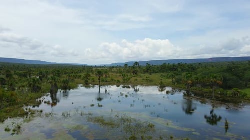 Wetland Landscape in Brazil Aerial View