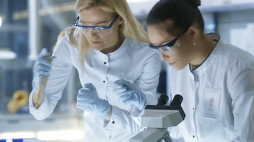 Scientists Working with Microscope and Test Tube in Lab
