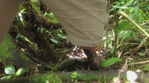 Muddy boots POV: Man steps over log on hike in dense jungle forest