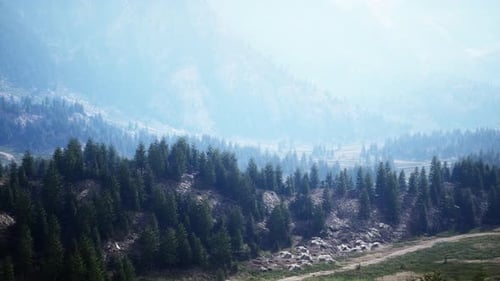 Winding Mountain Road Over Alpine Meadows at the Edge of the Forest