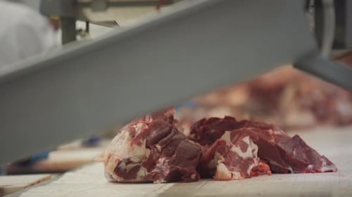 A Piece of Meat Moves Along a Conveyor Belt in a Meat Factory