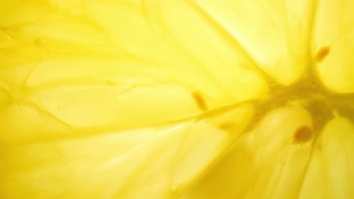 Lemon Slice Close-Up Reveals Juicy Texture and Seeds