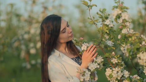 Woman Enjoying Spring Blossoms in an Orchard During Sunset