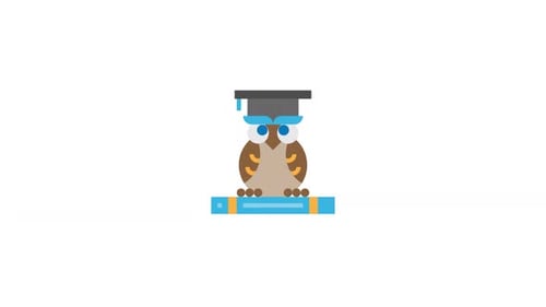 Wisdom Owl Education Concept Icon