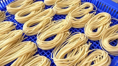 Freshly Made Yellow Noodles on a Blue Tray