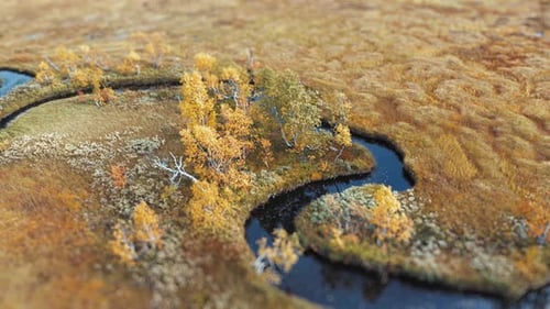 A tranquil autumn landscape with a river flowing gently through a colorful and peaceful marshy lands