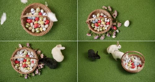 Ein kleiner Hase spielt mit der Aufschrift Frohe Ostern