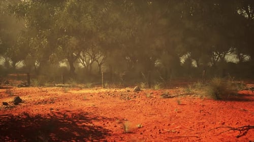 Misty Australian Outback with Red Earth Motion Background