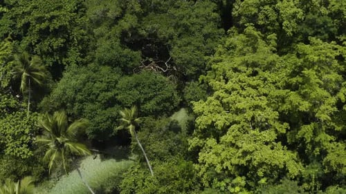 Vue aérienne panoramique d'un petit bateau naviguant sur un terrain de jungle dense sur une petite rivière du