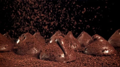 Chocolate Truffles Covered with Cocoa Powder