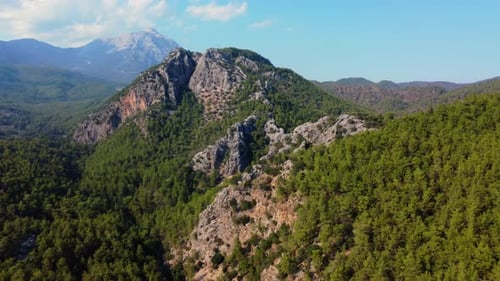 Aerial view of green pine forests and mountains