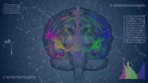 Lebendige Gehirnvisualisierung mit Datenpunkten und Verbindungen