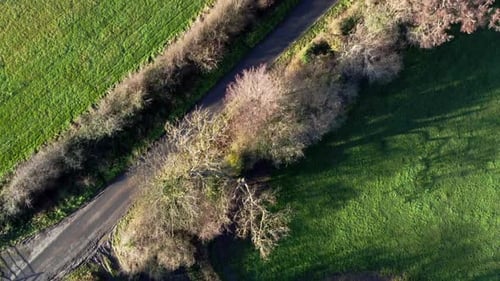aerial top down shot, grey car driving down an english country road, surrounded by trees