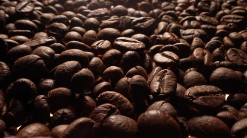 Close Up of Roasted Coffee Beans Panning Forward