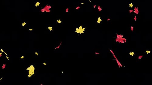 Animated Autumn Leaves Falling Nature Background