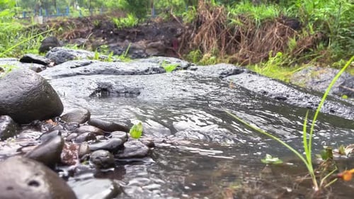 Clear water stream of mountain river on the middle of forest. The flow of clear rocky river water an