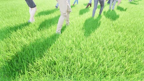 People Walk on Green Grass Leg Foot
