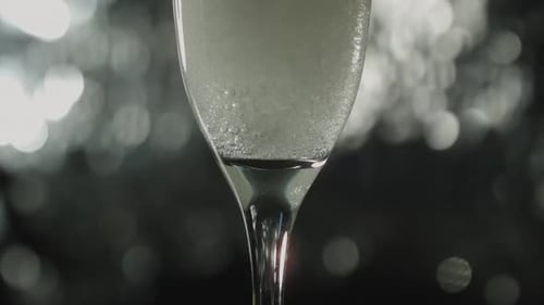Champagne Bubbles Rotating Inside Wine Glass