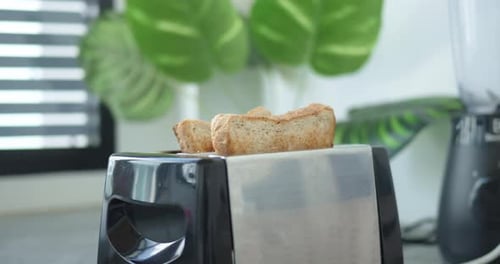 Closeup Toasted Slices Bread Popping Out of Toaster in Modern Kitchen Toasted Delicious Bread is