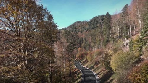 Forest car road in autumn mountains