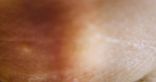 Extreme Close up of Human Eye Iris, Expanding and Shrinking of Pupil with Some Eye Movements and Bli