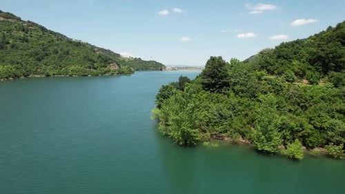 Lake and Forest