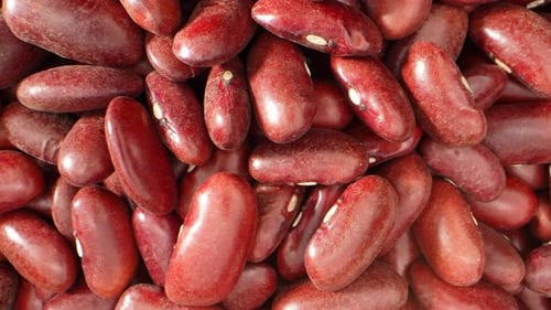 Close Up of Fresh Kidney Beans