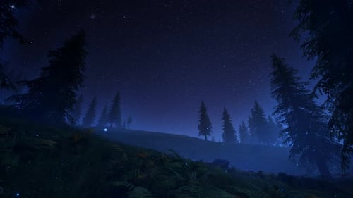 Milky Way sky Timelapse Short 60fps 4K Looped