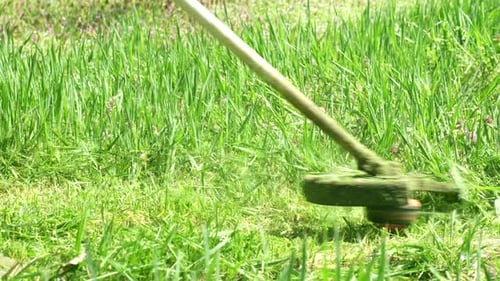 Gras mähen mit elektrischem Rasenmäher