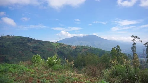 beautiful mountain natural scenery natural panorama of hills, with forest of tall green trees