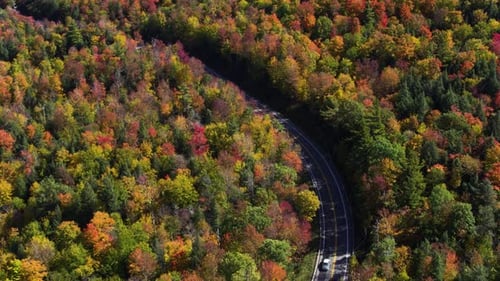 Mountain highway winds through untouched wilderness aerial drone view