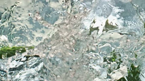 Fresh Cucumbers Falling Water Closeup. Organic Garden Vegetables Washing Splash Transparent Liquid