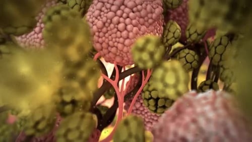 Detailed microscopic view of human cells and blood vessels