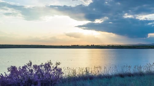 Clouds Run Across the Sky with a Sunset Light Over a Lake with Herbs on a Shore
