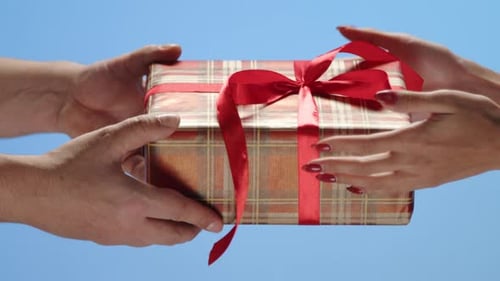 Close Up of Wellgroomed Male Hands Presenting Female Hands with Xmas Box